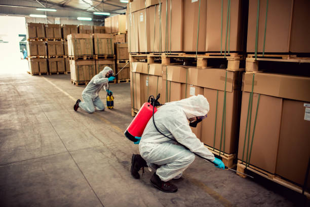 Reliable Stuarts Draft, VA Pest Control Solutions