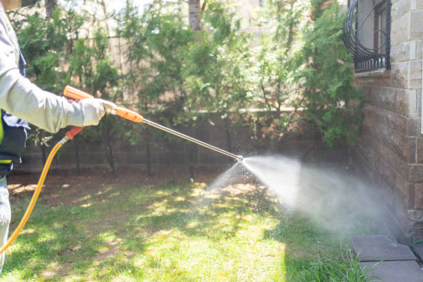 Wasp Removal Services in Stuarts Draft, VA