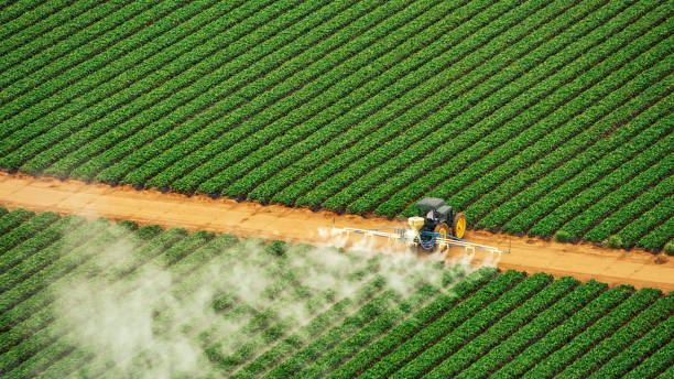 Best Pest Inspection Near Me  in Stuarts Draft, VA