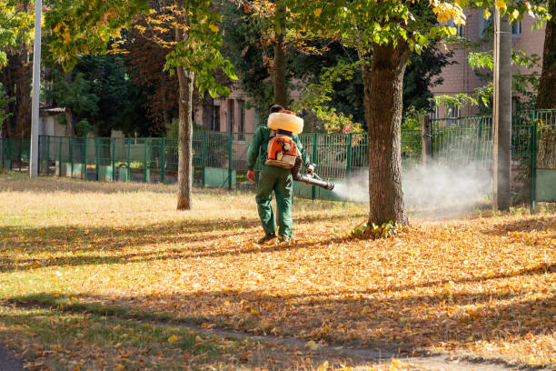 Best Cockroach Control Services  in Stuarts Draft, VA