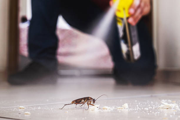 Best Best Pest Control Companies  in Stuarts Draft, VA